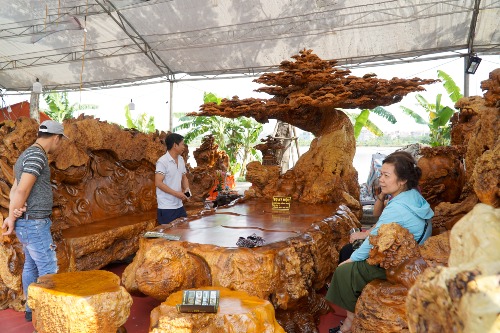 Bộ bàn ghế Kỳ mộc không chỉ thu hút cánh đàn ông. Nhiều phụ nữ cũng đi vài chục cây số để được thưởng thức tác phẩm. Ảnh: Trọng Nghĩa.